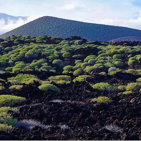 Lejlighed Live Roque Puertito Guimar