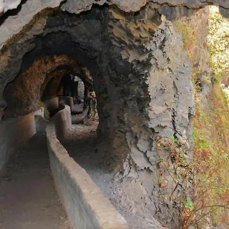 Live Roque Puertito Guimar Puertito de Guimar