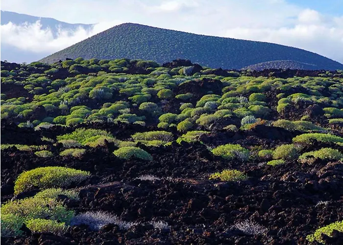 דירה Live Roque Puertito Guimar